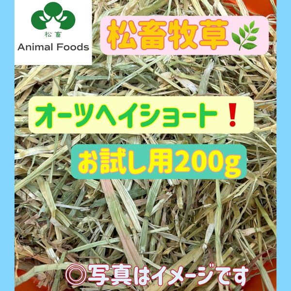 ★松畜牧草★お試し用★オーツヘイショート スーパープレミアム 200g