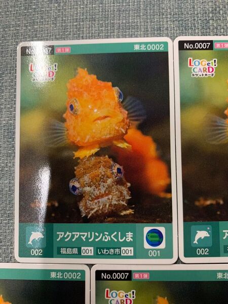ロゲットカード アクアマリンふくしま いわき市 福島県 海の生き物 魚 カード まとめ売りok