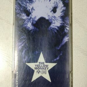 CD THA YELLOW MONKEY 楽園