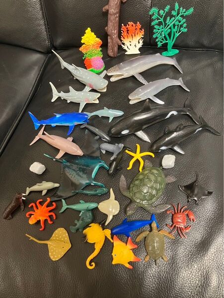 海の生き物 セット