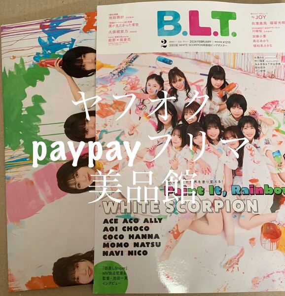【新品同様/付録完備】BLT 2月号 WHITE SCORPION JOY 僕が見たかった青空 池田瑛紗 白濱美兎 ポスター有り 応募券なし