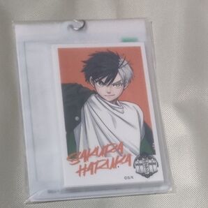 WIND BREAKER展 チケットグッズ特典 フォト風カード16枚+PVCホルダー