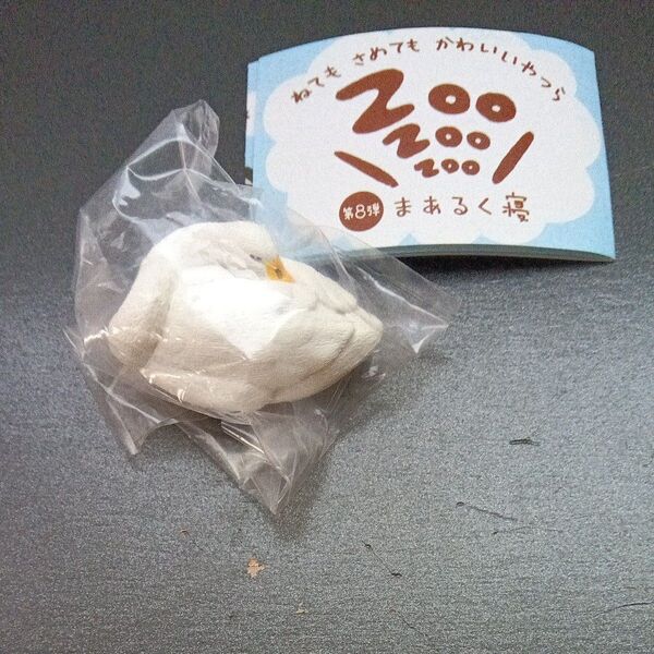 ねてもさめてもかわいいやつら zoo zoo zoo まあるく寝 ハクチョウ