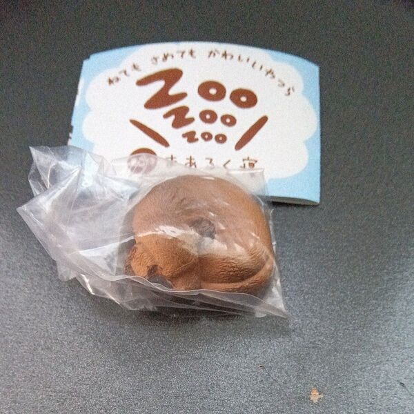 ねてもさめてもかわいいやつら zoo zoo zoo まあるく寝 イヌ