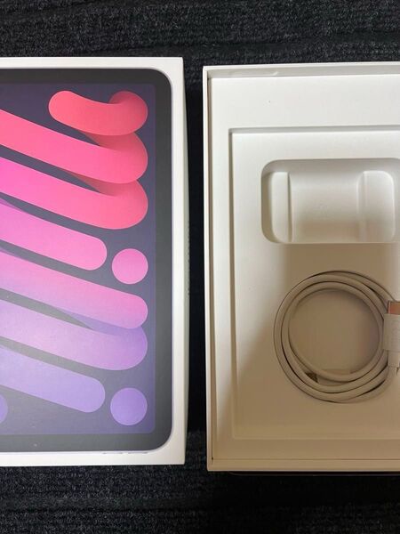 iPad mini6 cellular 64gb