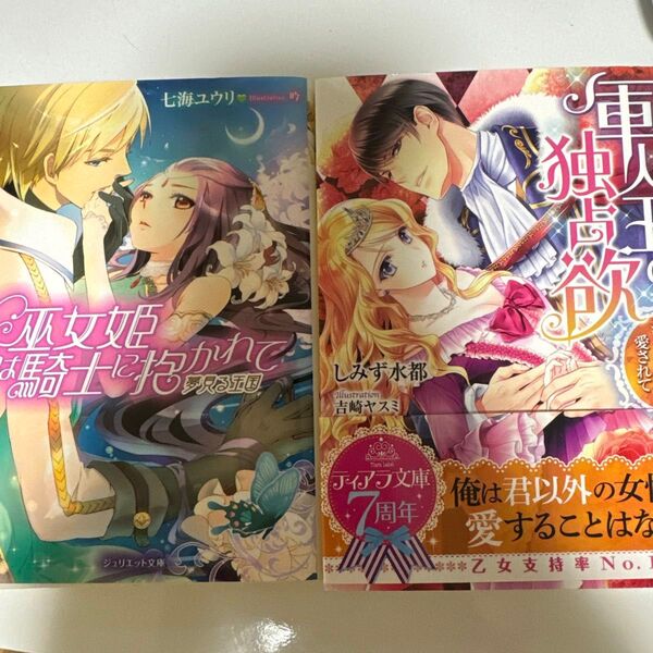 軍人王の独占欲 美王女は蕩けるほどに愛されて tl小説