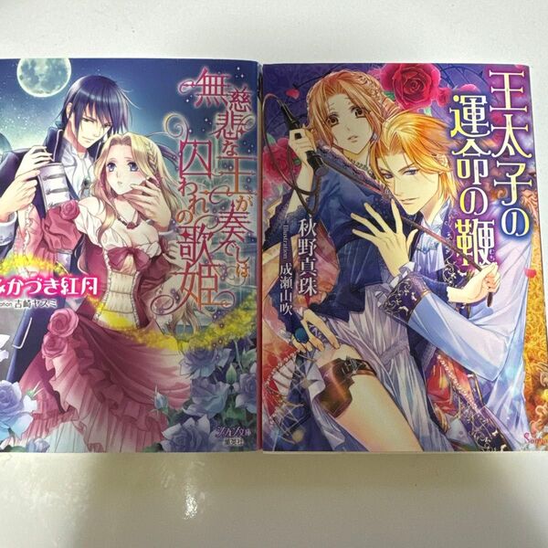 無慈悲な王が奏でしは囚われの歌姫 tl小説