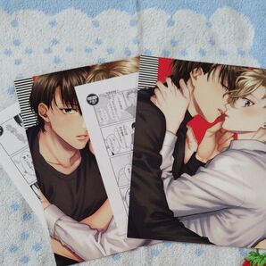 恋愛感情論、1.2巻の特典のみ