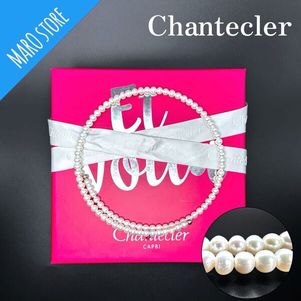 【美品】Chantecler シャンテクレール パール チョーカー