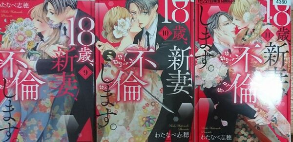 18歳、新妻、不倫します。(9)(10)(11)