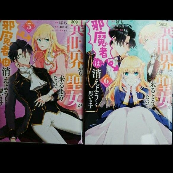 異世界から聖女が来るようなので、邪魔者は消えようと思います5 6