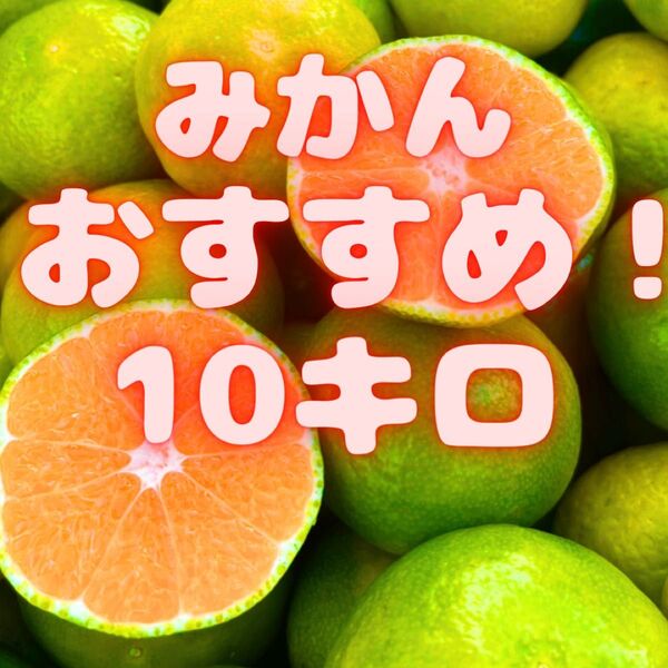 美味しいよ(^O^)山北みかん 06