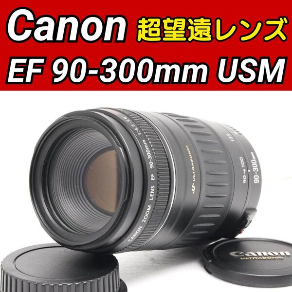 Canon EF 90-300mm F4.5-5.6 USM 超望遠レンズ 大人気 キヤノン ズームレンズ