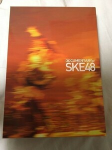 SKE48 アイドルの涙 DOCUMENTARY of SKE48 DVD ドキュメンタリー　松井珠理奈　高柳　大場　古畑