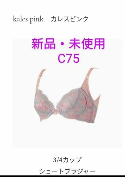 新品未使用 マルコ カーヴィシャス カレス ショートブラジャー C75 補正下着