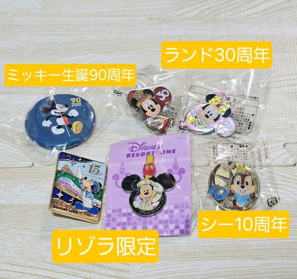 ディズニー 周年ピンバッジ 非売品 まとめてセット