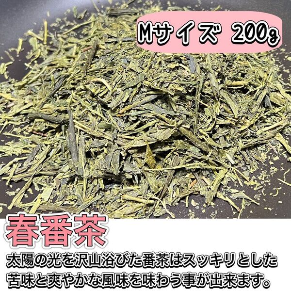 【無農薬】スッキリとした苦味のあっさり緑茶!春番茶 茶葉200g(約100杯分)