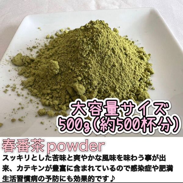 【無農薬・大容量】さっと溶かすだけ簡単♪春番茶パウダー500g(約500杯分)