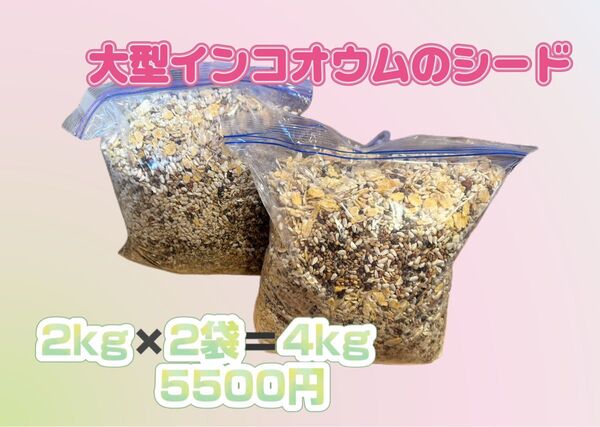 大型インコ、オウムのシード ニワトリの餌 ハーブティー 根のないリトープス 成虫管理向け#大型インコのエサ#オウムシード