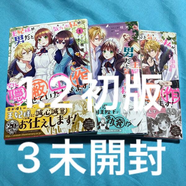 王妃様が男だと気づいた私が、全力で隠蔽工作させていただきます! 1〜3