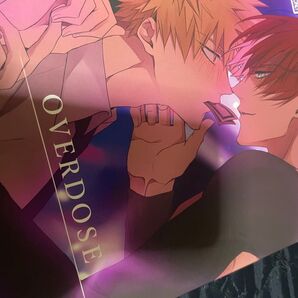 ヒロアカ 轟爆 同人誌 小説 僕のヒーローアカデミア