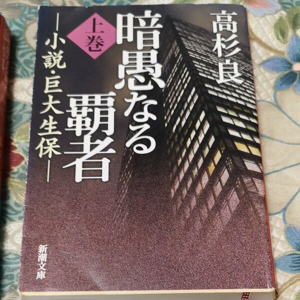暗愚なる覇者 小説・巨大生保 上巻 下巻 高杉良/著 2冊セット