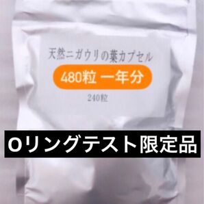 レア Oリング テスト ORT 限定品 天然 ニガウリ カプセル 480粒 一年分 約6か月分 ×2 セット お得 正規品 貴重