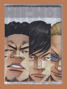[ free shipping ]*HiGH&LOW THE WORST( is Ian draw The Worst ) * nobori / flag * ultra rare * not for sale *EXILE* height .hirosi* Crows *