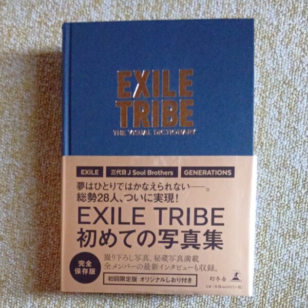 THE VISUAL DICTIONARY 初回限定版 EXILE TRIBE/著 オリジナルしおりつき