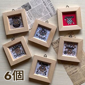 6個セット★フレーム付き★【mysterious plant】