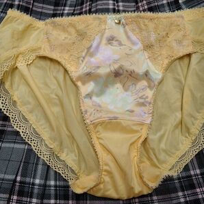 【未使用品】トリンプ Triumph アモスタイル AMO STYLE ショーツ オレンジ Lサイズ