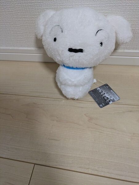 大きめクレヨンしんちゃん、しろぬいぐるみ
