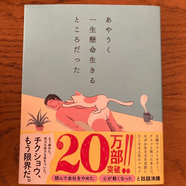 あやうく一生懸命生きる、ところだった