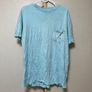 SOUTHERN FRIED COTTON Tシャツ メンズM【E】