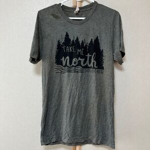 BELLA CANVAS Tシャツ メンズS【E】