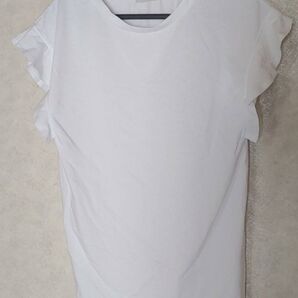【オンワード樫山】Tシャツ F