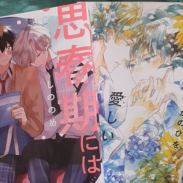 ◎組み換え可能!商業BL 思春期には目の毒です しののめ 愛しい理由をおしえて さがのひを