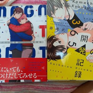 商業BL 小町教授の開発記録365 藤峰式 マグネット兄弟 日野雄飛
