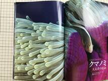 『NATIONAL GEOGRAPHIC 日本版 2010年1～6月号6冊セット』富士山・知床半島・上海・水が危ない・セントへレンズ山・南アフリカ 他 04890_画像3