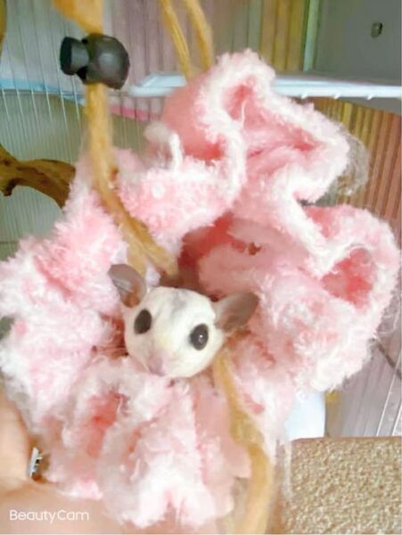 お洗濯出来る!! 2Wayフクモモポーチ 仲良しポーチ 寝ぶくろ イチゴ柄 赤 小動物ポーチ ハムスター ハンモック