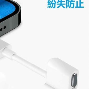 iPhone15シリーズ USB-C コネクタカバー グレイ 保護キャップ 防塵 コネクタキャップ コネクタホルダー