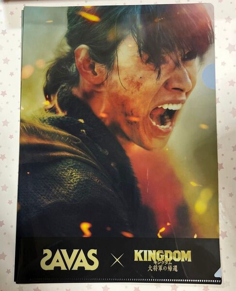 山崎賢人 キングダム SAVAS ザバス クリアファイル