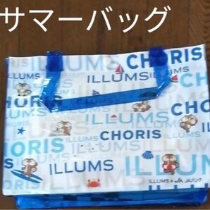 【未使用】サマーバッグ