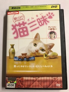 【DVD】猫びよりpresents 猫三昧【レンタル落ち】@45