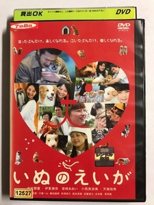 【DVD】いぬのえいが 中村獅童 伊東美咲【レンタル落ち】@45