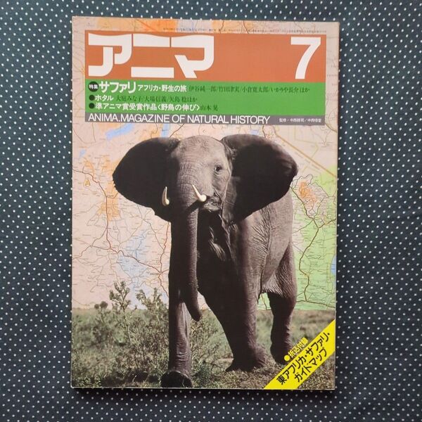 アニマ サファリ アフリカ野生の旅