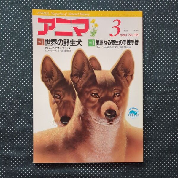 アニマ 世界の野生犬
