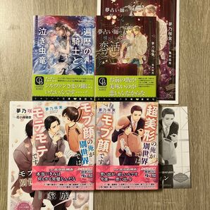 遍歴の騎士と泣き虫竜、他/夢乃咲実/BL小説