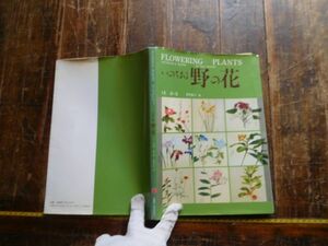 古本　大ATno.42 いのちある　野の花　１巻　春夏　豊岡東江　青葉社　FLOWERING PLANTS　社会　科学　文学　蔵書　資料