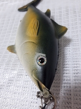 プニプニ鮮魚　ソフトフィギュア　ソフビフィギュア　魚　未使用　19cm_画像4
